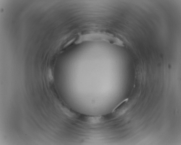 X0000061750089200512231536