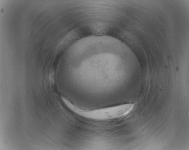 X0000061750090200512231536