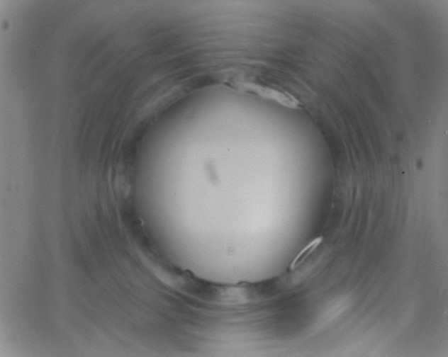 X0000061750091200512231536