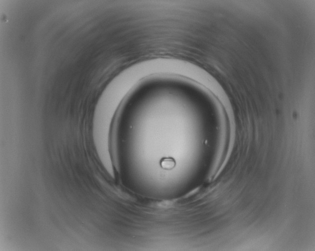 X0000061750092200512231536