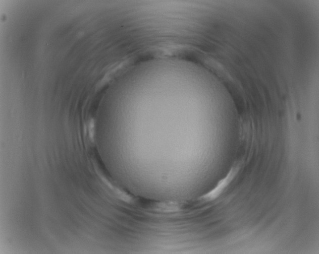 X0000061750094200512231536