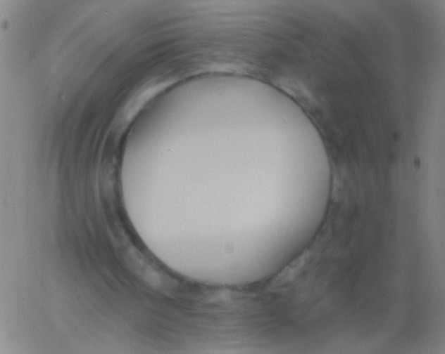 X0000061750098200512231536