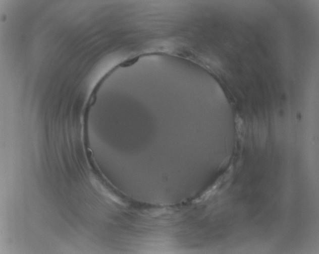 X0000061750100200512231536