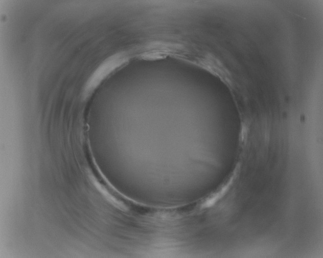 X0000061750101200512231536