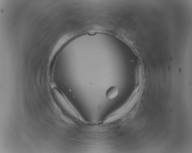 X0000061750102200512231536