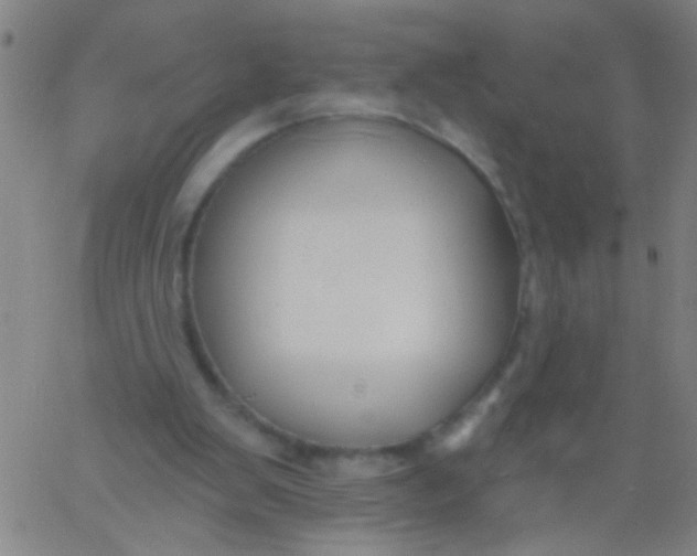 X0000061750103200512231536