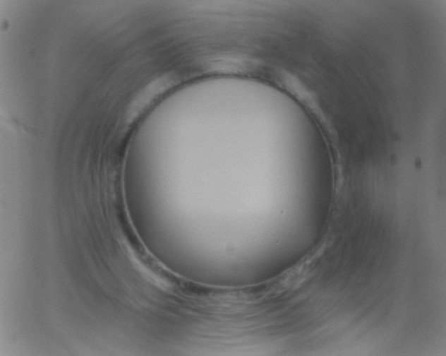 X0000061750106200512231536