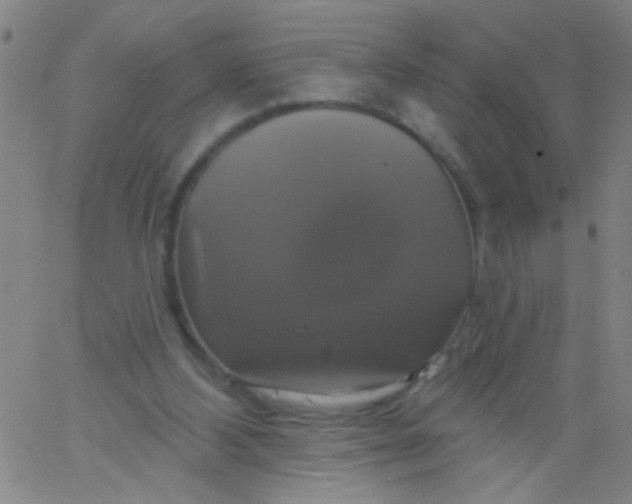 X0000061750108200512231535