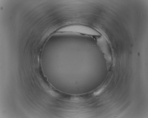 X0000061750109200512231535