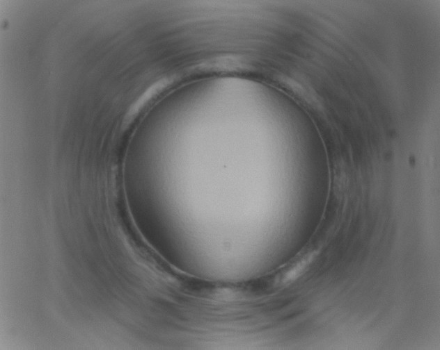 X0000061750111200512231535