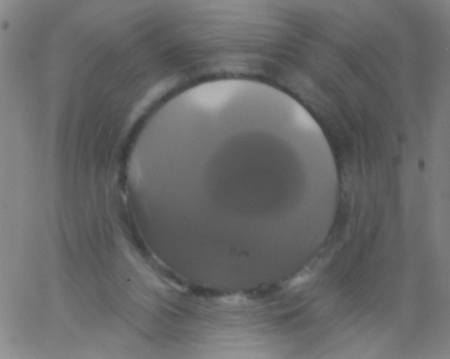 X0000061750112200512231535