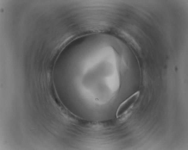 X0000061750113200512231535