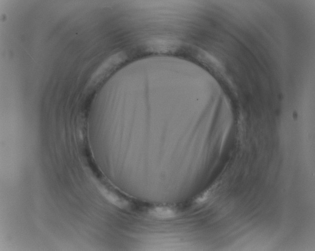 X0000061750114200512231535