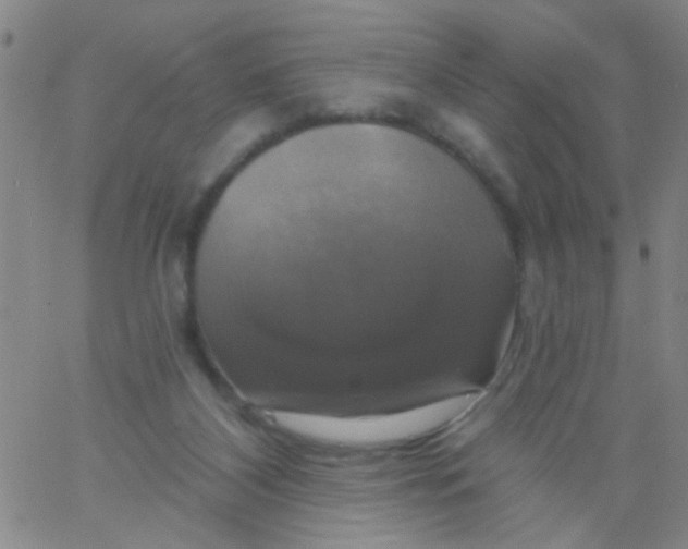 X0000061750116200512231535