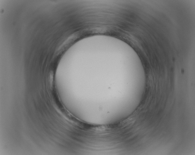 X0000061750118200512231535