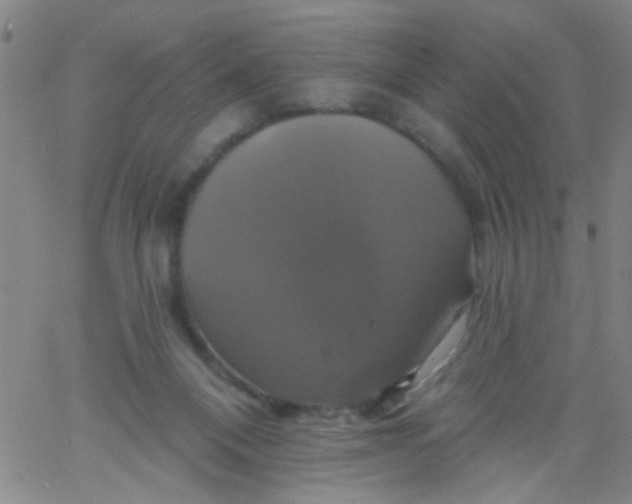 X0000061750120200512231535