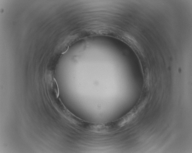 X0000061750121200512231535