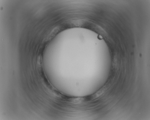 X0000061750122200512231535