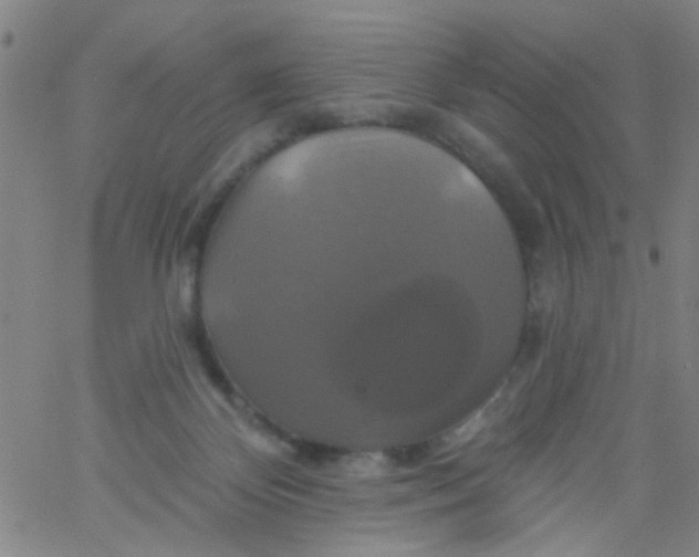 X0000061750124200512231535