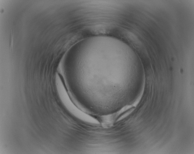 X0000061750125200512231535