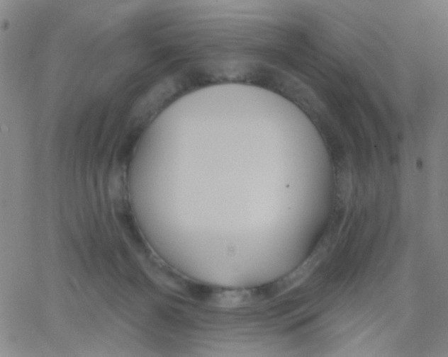 X0000061750126200512231535