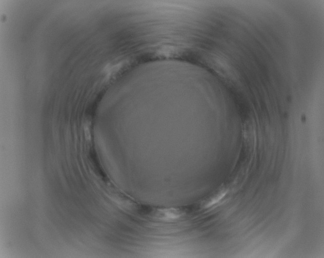 X0000061750127200512231535