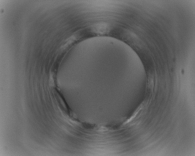 X0000061750128200512231535