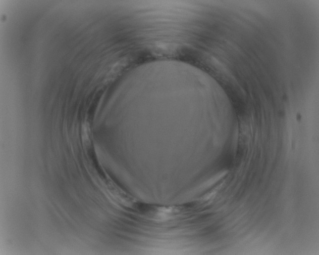 X0000061750130200512231535