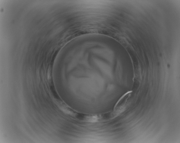 X0000061750131200512231535