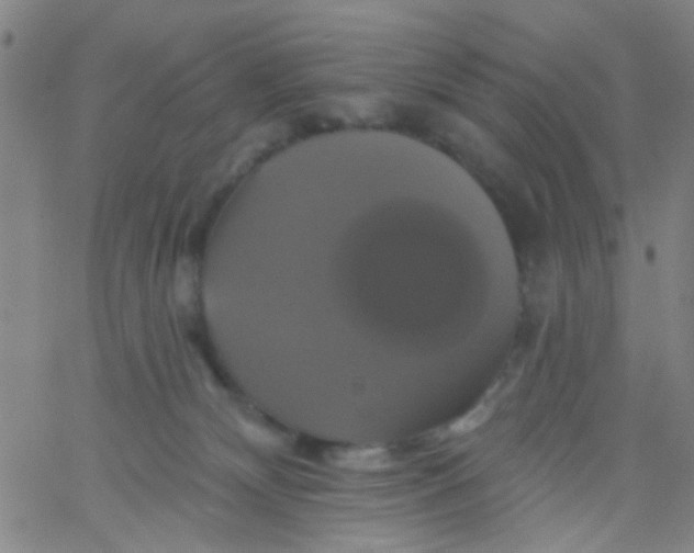 X0000061750132200512231535