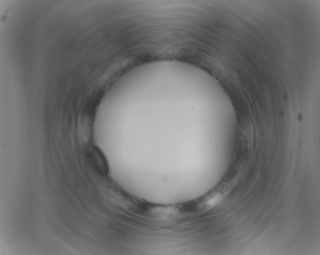 X0000061750133200512231535