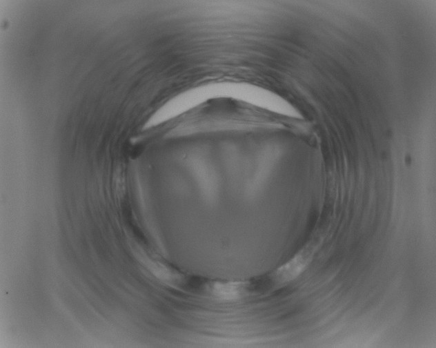 X0000061750134200512231535