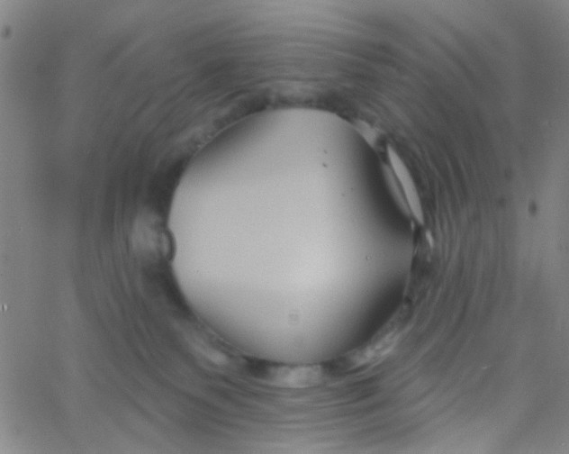 X0000061750135200512231535