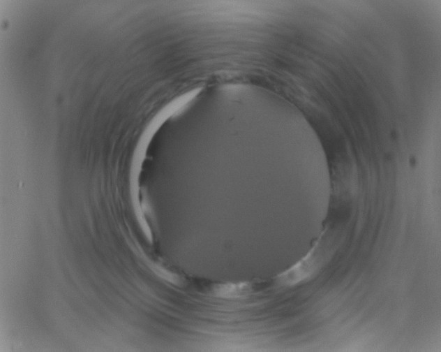 X0000061750136200512231535