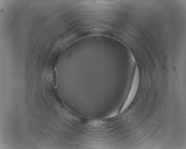 X0000061750137200512231535