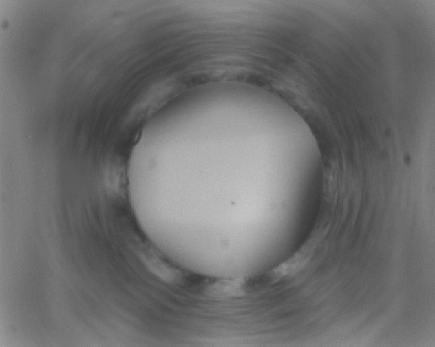 X0000061750138200512231535