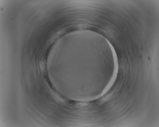 X0000061750139200512231535