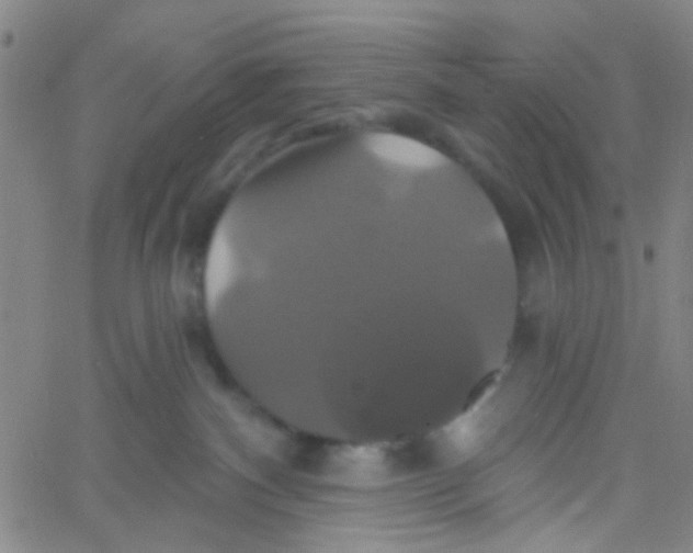 X0000061750140200512231535