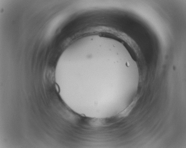 X0000061750142200512231535