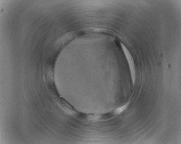 X0000061750143200512231535