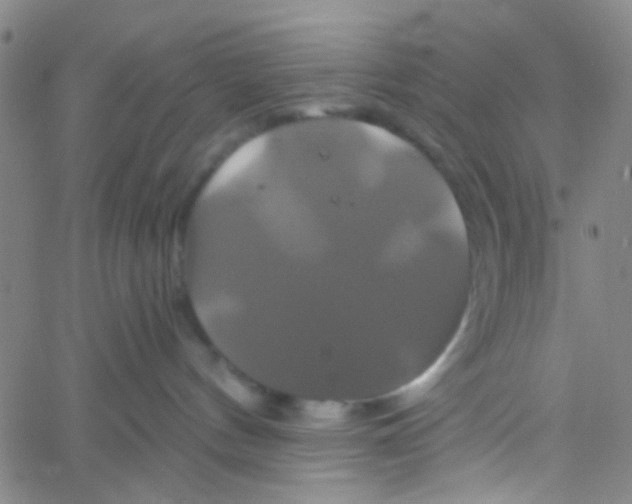 X0000061750144200512231535