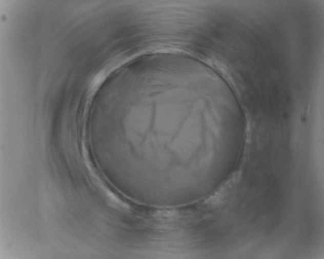 X0000061750145200512231534