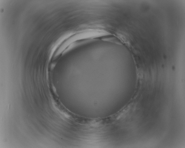 X0000061750148200512231534