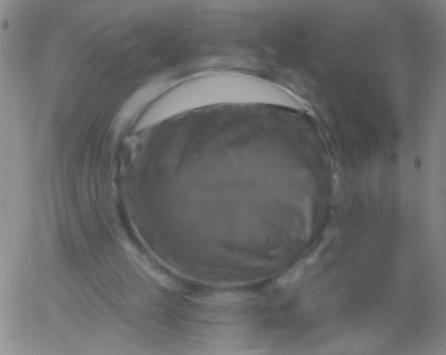 X0000061750149200512231534