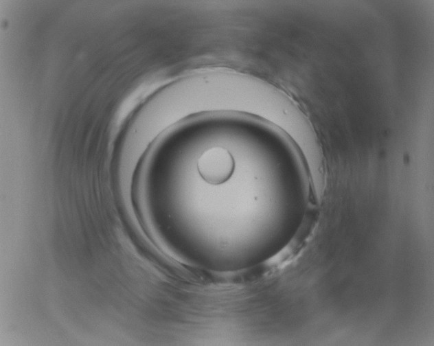 X0000061750150200512231534