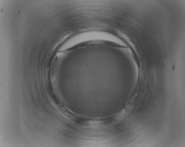 X0000061750154200512231534