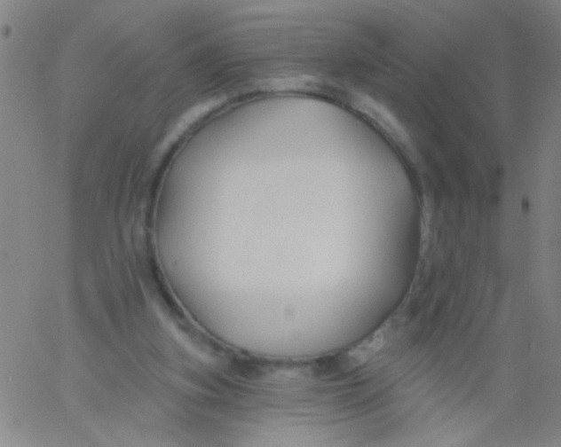 X0000061750155200512231534