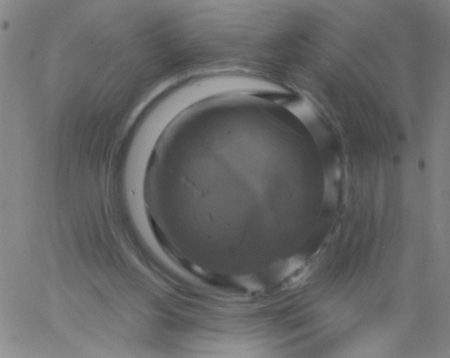 X0000061750156200512231534