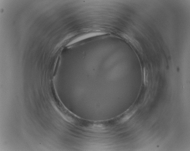 X0000061750157200512231534