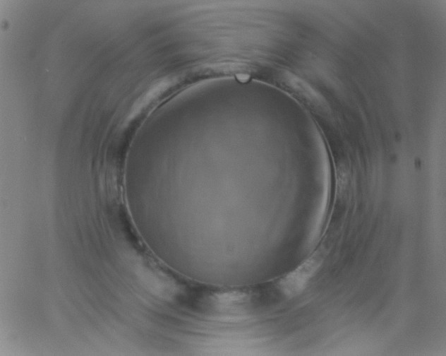 X0000061750158200512231534